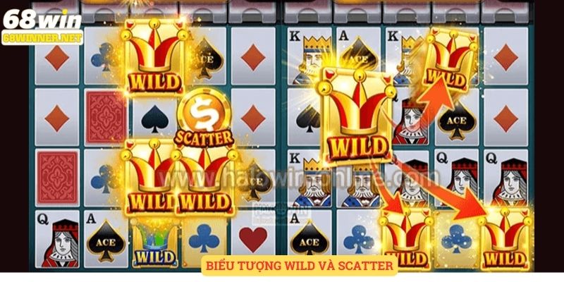 Biểu tượng wild, scatter