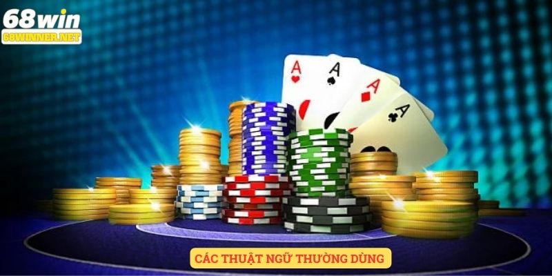 Các thuật ngữ thường dùng