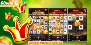 Giới thiệu tổng quan 